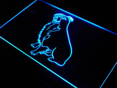 Border Collie Dog Pet Shop Neon Light Sign